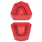 R-22 Upper and Lower Rubber Mold with Third Molars. Same Dentition as M-560